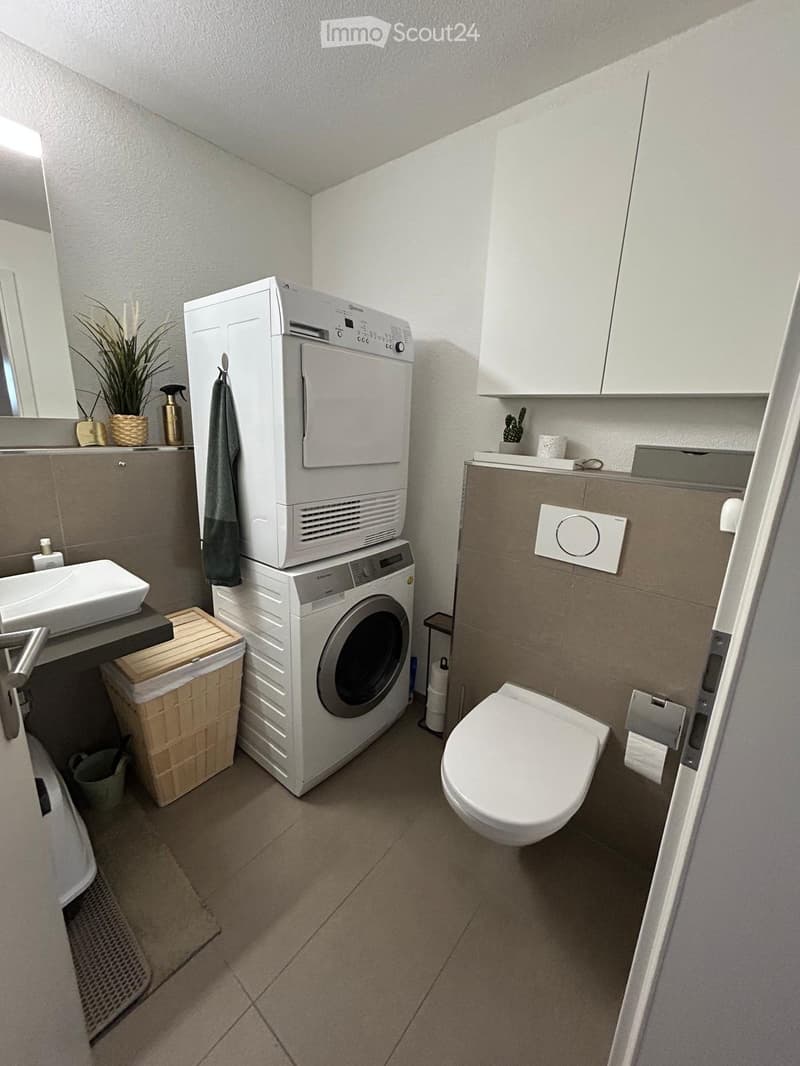 Modern bathroom with a white sink, toilet, stacked washing machine and dryer, white cabinets, and a small plant on the counter.
