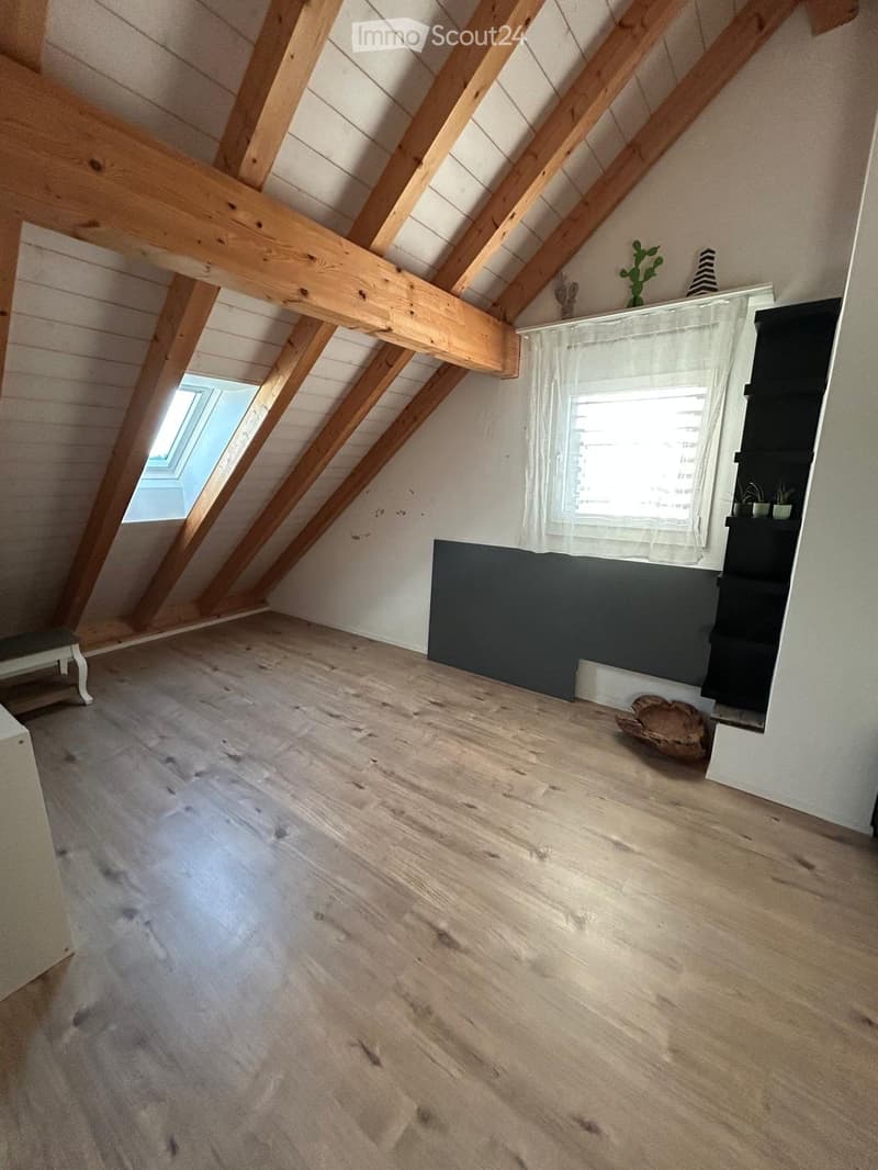 Empty attic space with wooden beams, wooden flooring, and a skylight window. Minimal decor includes a small shelf with plants and a decorative item.