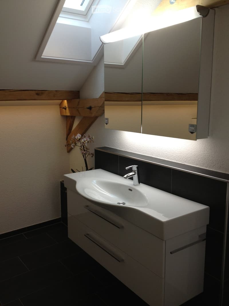 Modern bathroom with a white sink, sleek faucet, built-in cabinetry, and a large mirror illuminated by LED lighting. The space features dark tiled flooring and a skylight window for natural light.