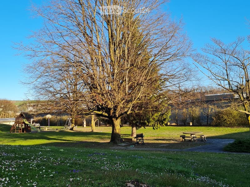 A spacious garden area with a large tree, grassy lawn, scattered flowers, a playground structure, picnic tables, and a paved pathway.