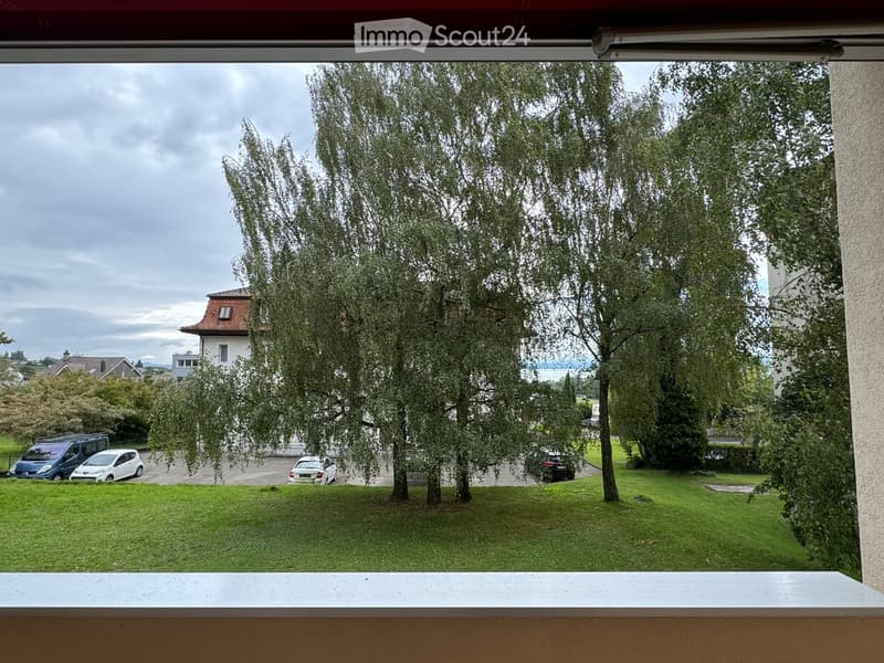 Balcony view shows a green lawn, several trees, parked cars, and neighboring houses under a cloudy sky.