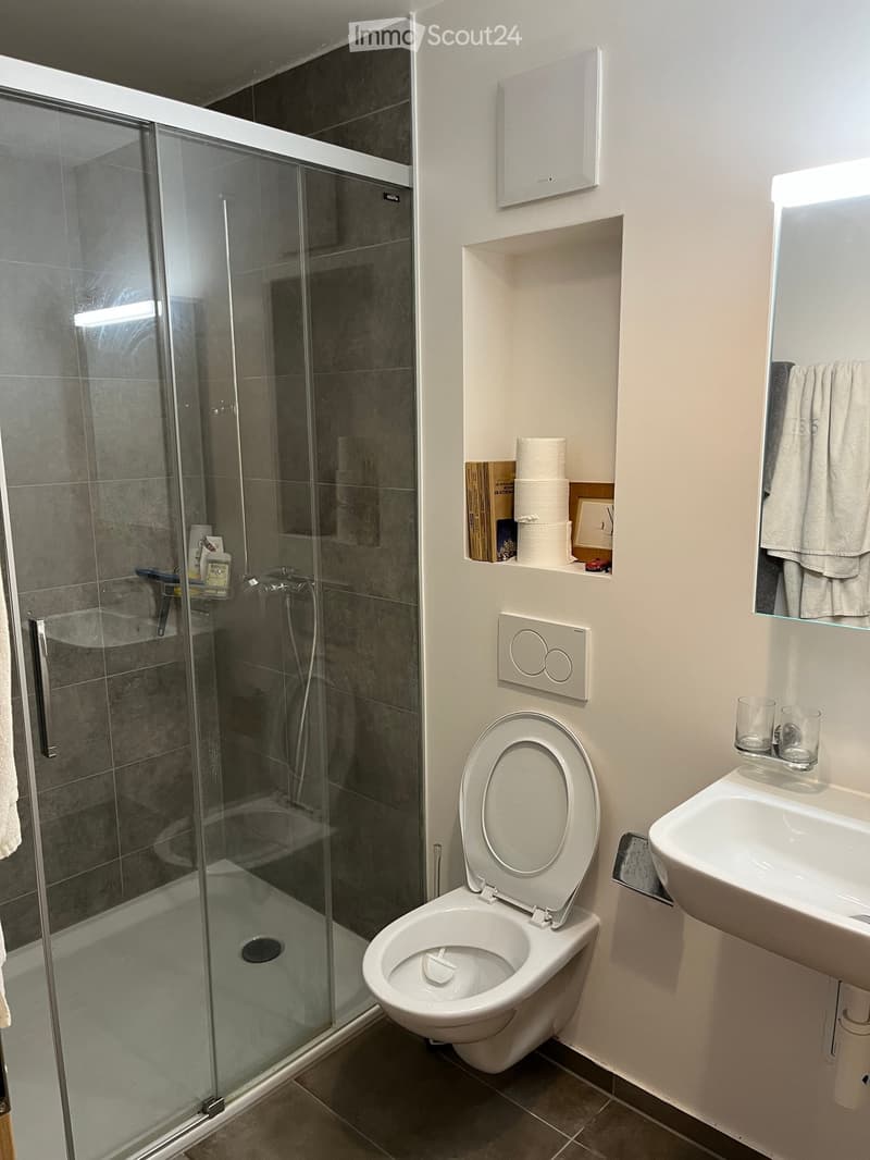 Modern bathroom with a glass-enclosed shower, toilet, sink, and built-in shelf holding toilet paper and small items.