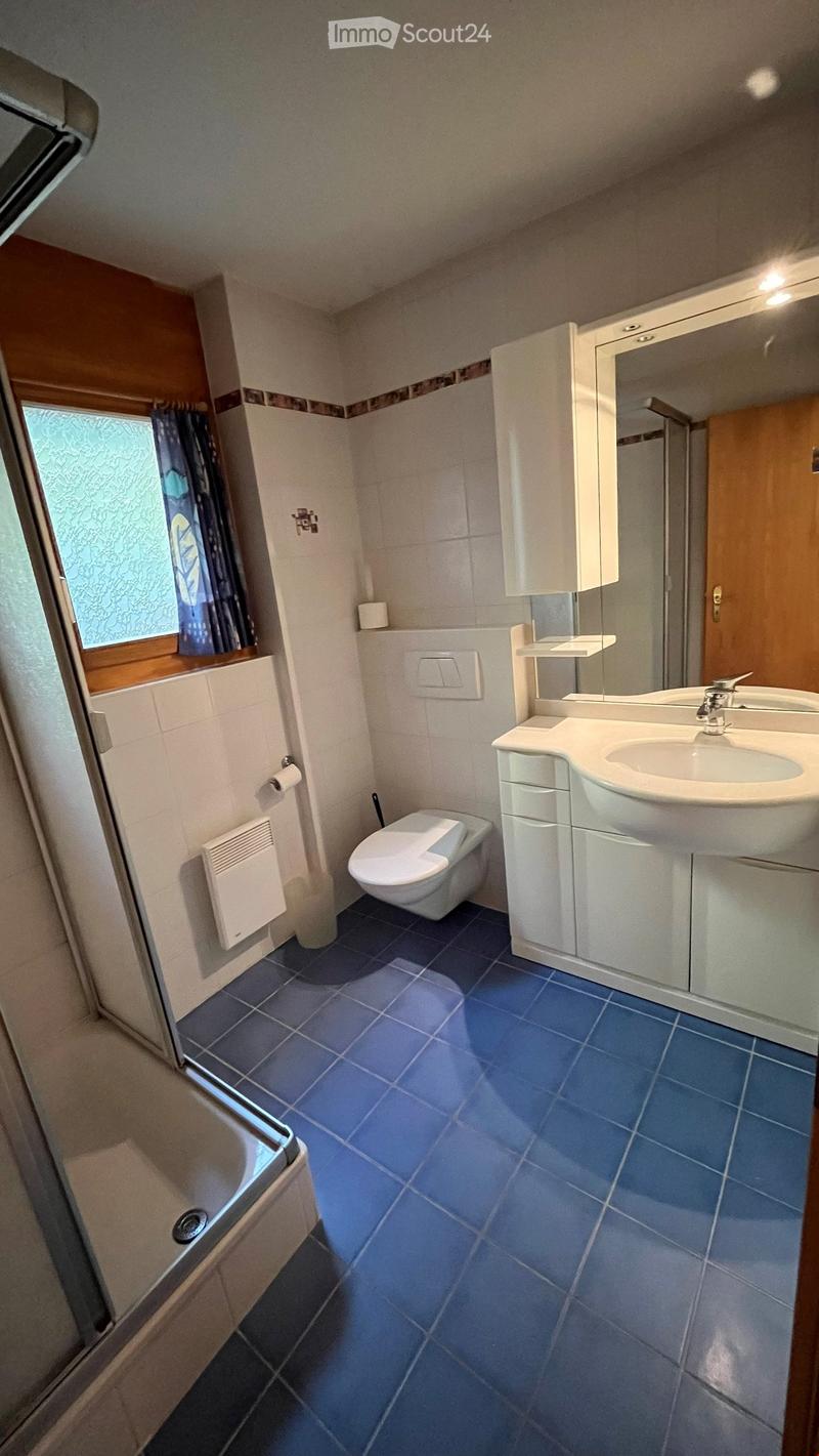 Modern bathroom with blue tiled floor, white walls, a toilet, a sink with a mirror cabinet, a bathtub, and a radiator.