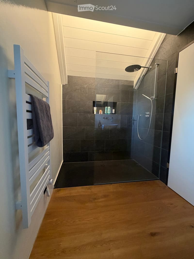 Modern bathroom with a glass-enclosed shower, dark tiled walls, a towel rack, and a sink area with a mirror.