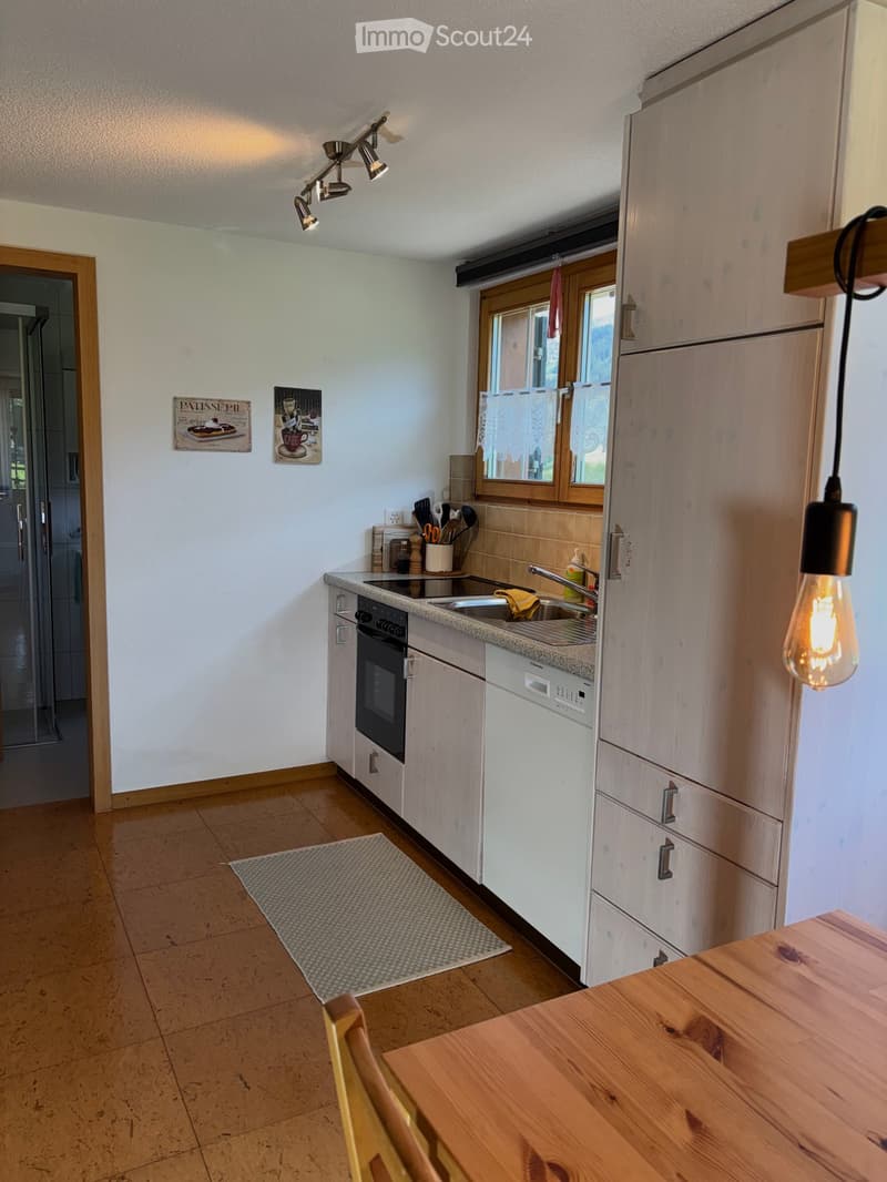 Modern kitchen with light wooden cabinets, granite countertop, stainless steel sink, oven, and dishwasher. Features a wooden dining table and chair, a small rug, and decorative wall art.