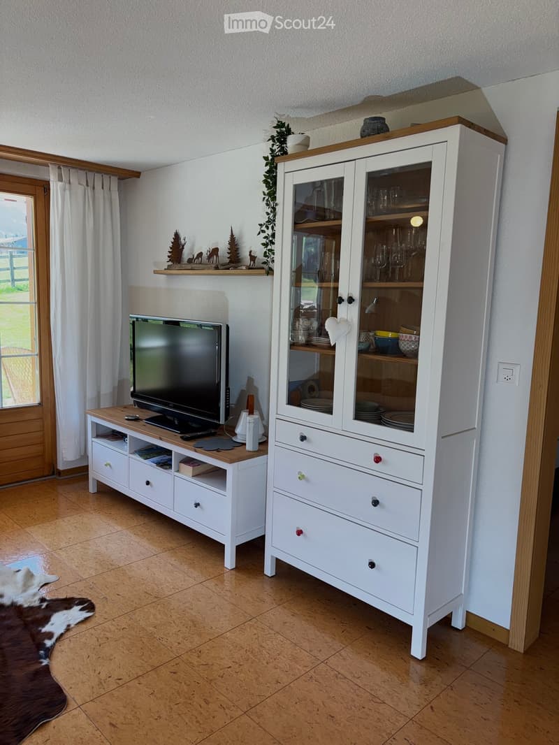 A modern living room with a large television on a wooden stand, a white cabinet with glass doors, and a decorative shelf with various items. The room features a wooden floor and a cowhide rug.