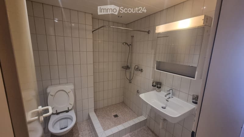 white tiled walls, white tiled floor, shower area, toilet, sink, mirror