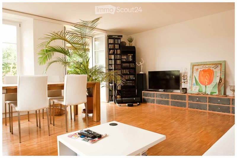 Bright living room with wooden flooring, large windows, white sofa, coffee table, dining area with chairs and table, bookshelf, TV, and decorative plants.