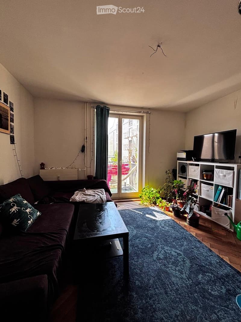 Living room with a dark-colored sofa, coffee table, television on a shelf, potted plants near the balcony door, and a large blue rug.