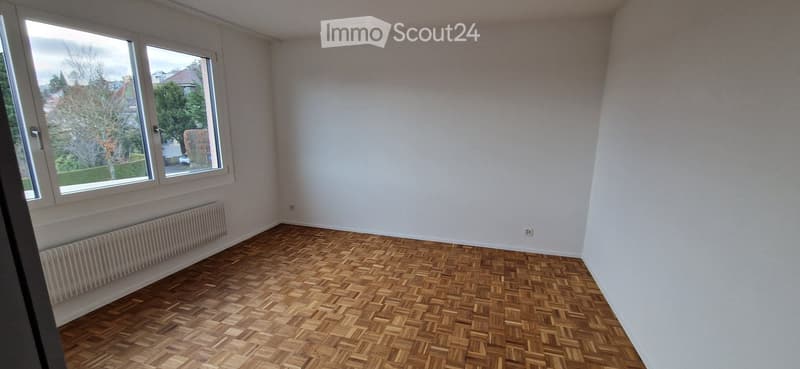 Empty room with wooden herringbone flooring, white walls, large windows, and a radiator below the windows.