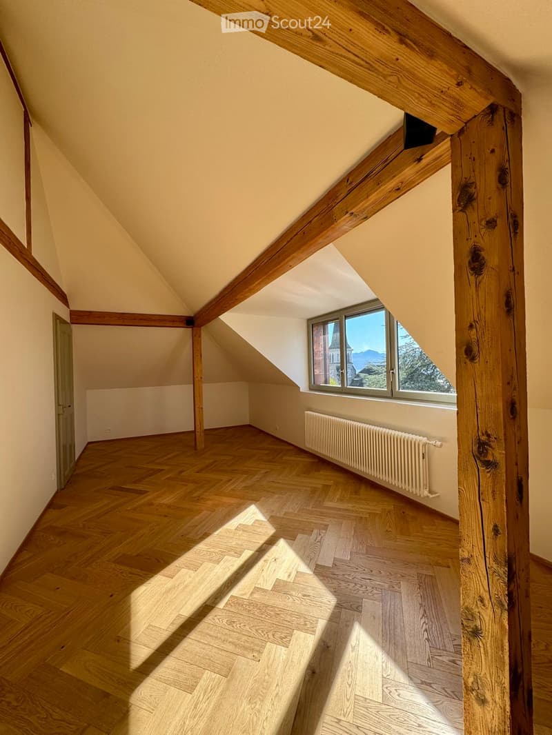 wooden floor, wooden beams, window, view