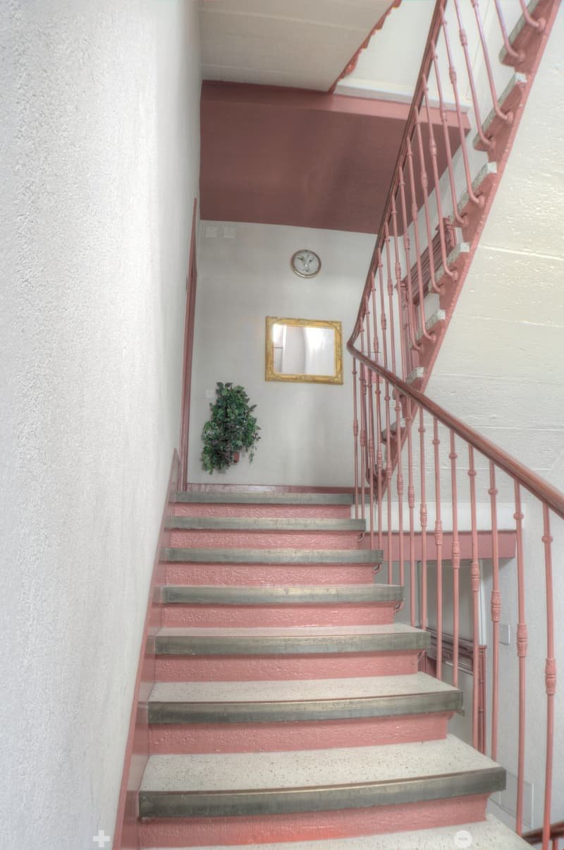 Staircase with red painted walls, white steps, pink painted railing, mirror on the wall, plant on the landing