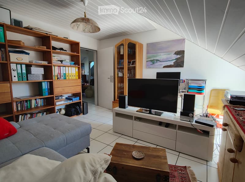 Living room with a grey sofa, coffee table, TV stand, bookshelf, and a painting on the wall.