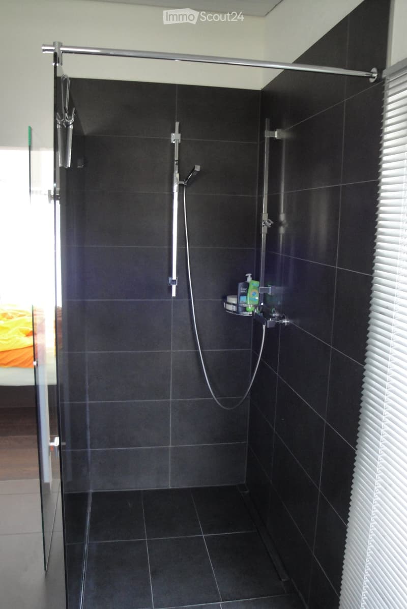 Modern shower area with black tiles, glass enclosure, and a shower rack holding toiletries.