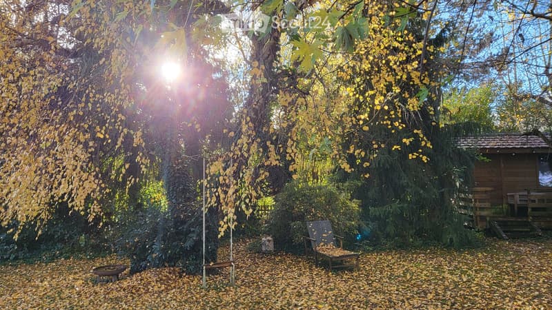Autumn garden with a wooden bench, a lounge chair, and a small wooden cabin surrounded by trees and fallen leaves.