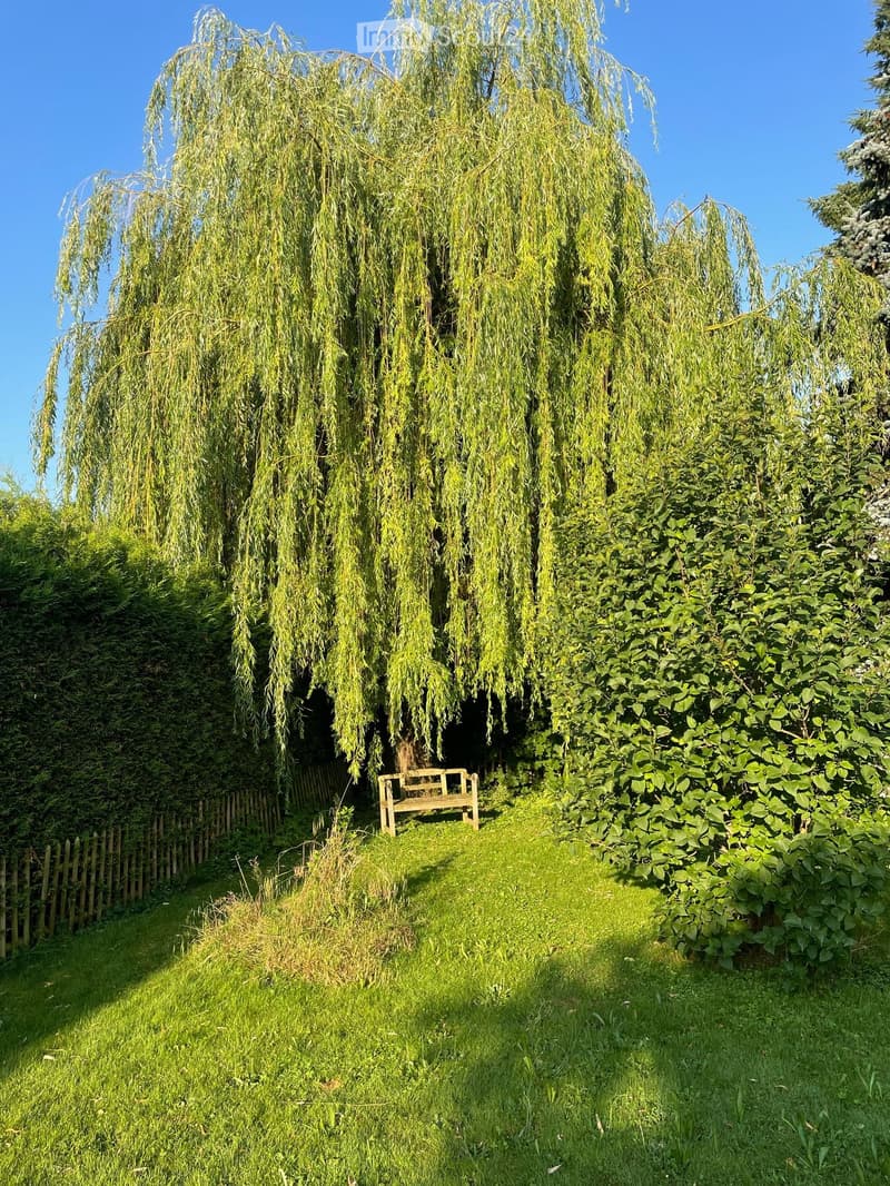 Casa unifamiliare su un grande terreno edificabile con alberi (8)