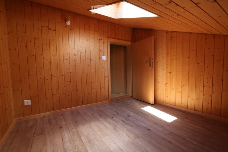 Empty room with wooden walls and floor, featuring a skylight and a partially open door leading to another space.