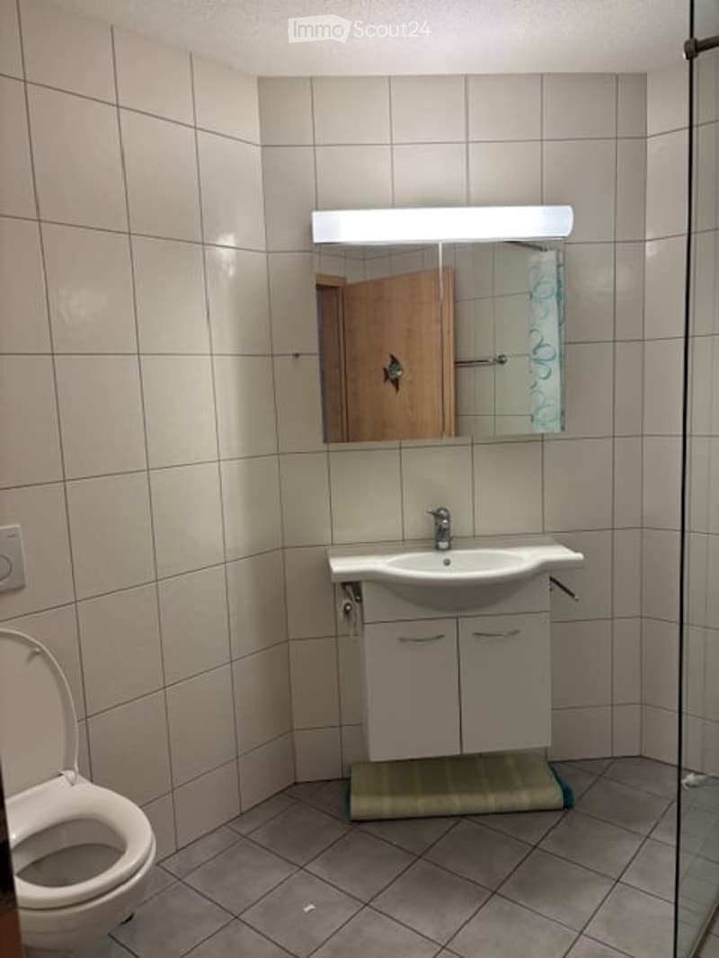 Bathroom with tiled walls and floor, a sink with a mirror above it, a toilet, and a glass shower enclosure.