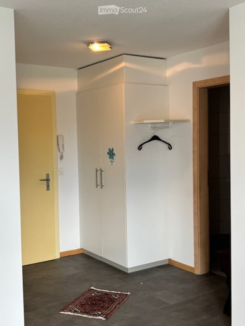 Empty room with white walls, dark tiled floor, built-in white closet, small shelf, and a small red rug.