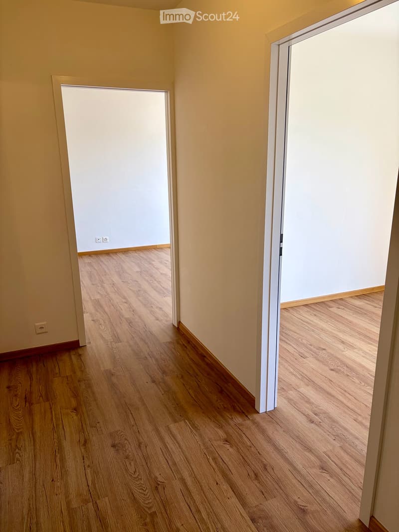 Townhouse for rent in Castagnola (6)