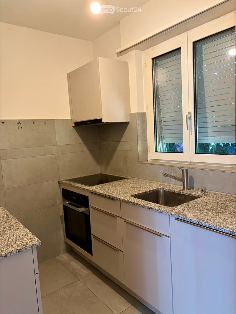Townhouse for rent in Castagnola (8)