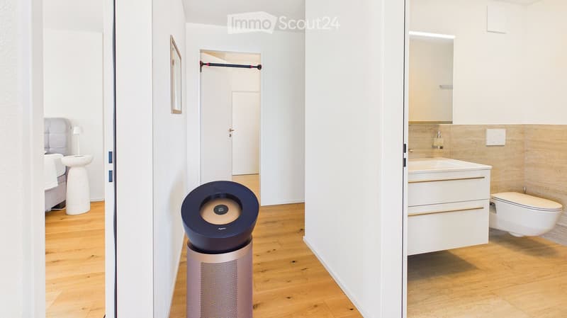 Modern, minimalist bedroom and bathroom area with light wood flooring, white walls, a grey sofa, a table lamp, a sink, a toilet, a cabinet, and a framed picture on the wall.