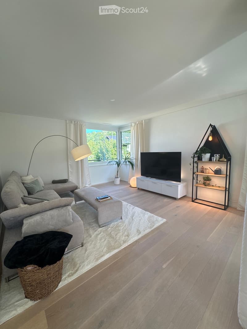 Modern living room with light wooden flooring, a grey sectional sofa, a coffee table, a television on a white stand, a floor lamp, a side table with a plant, and a decorative shelf with small plants and items.