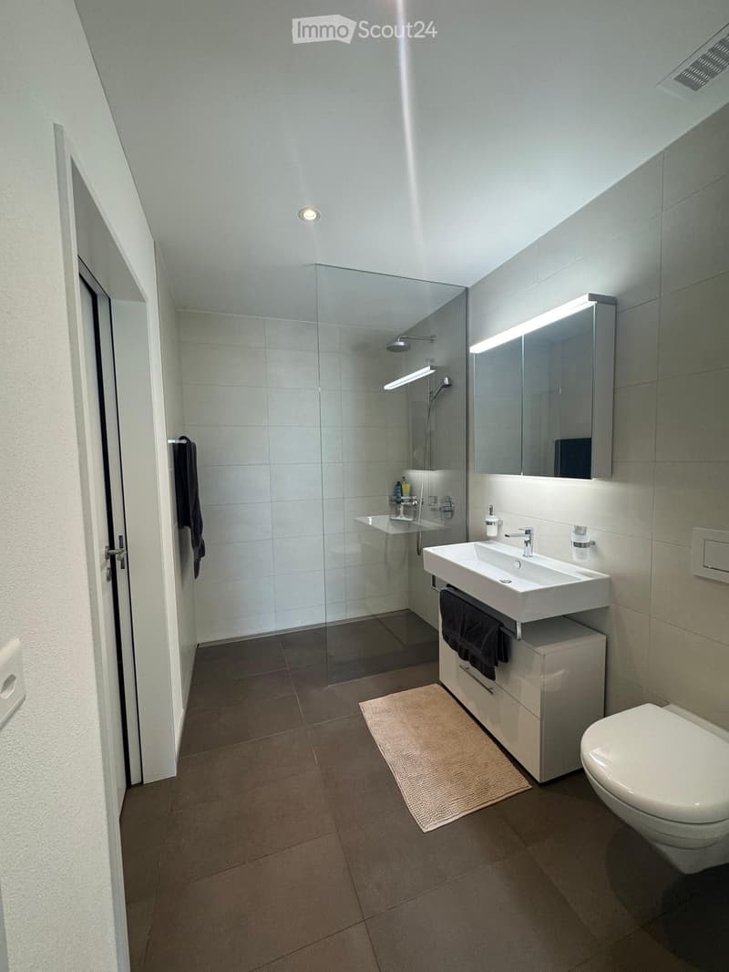 Modern bathroom with a white sink, toilet, large mirror, glass-enclosed shower, and dark brown tiles.