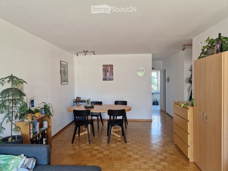 A modern, well-lit living and dining area with wooden flooring, a grey sofa, a round wooden dining table with black chairs, a tall potted plant, and a wooden cabinet with drawers.