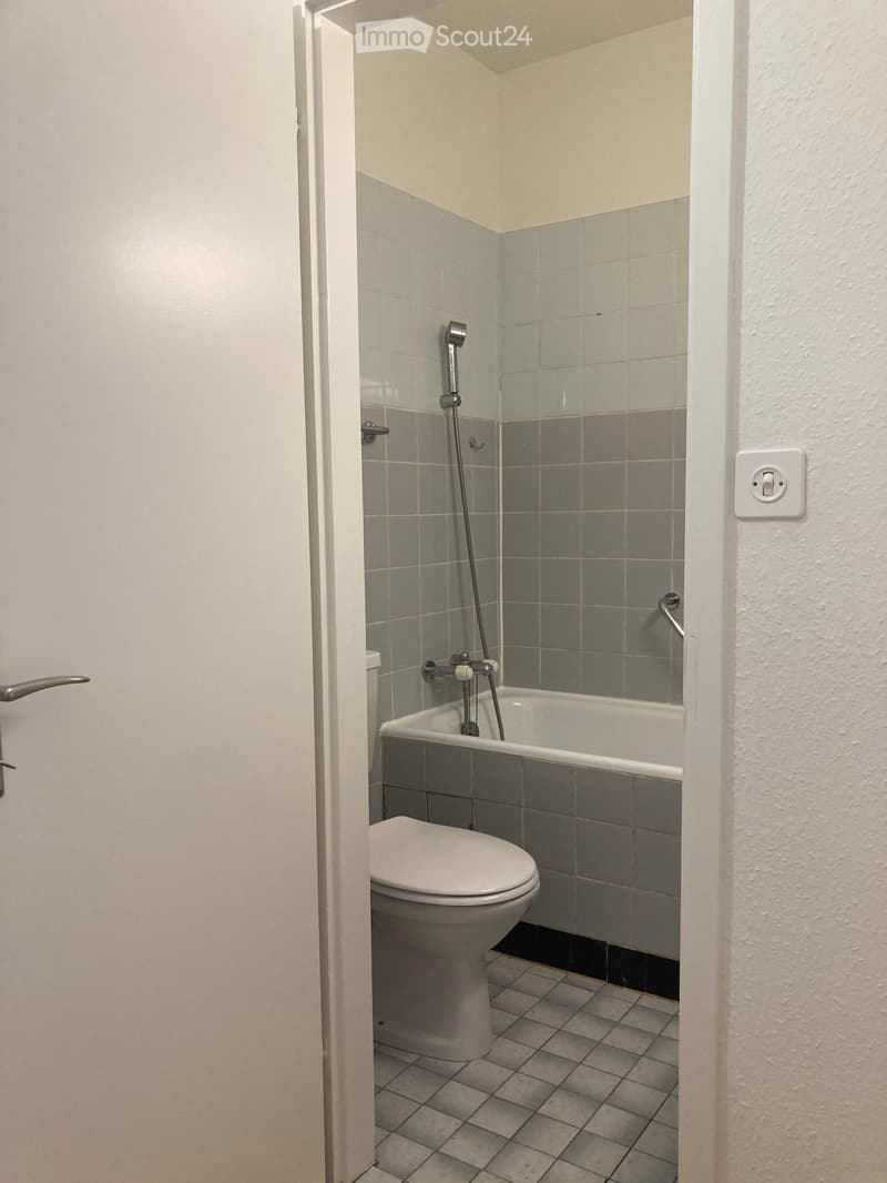 Studio 26m² - Veyrier (4)