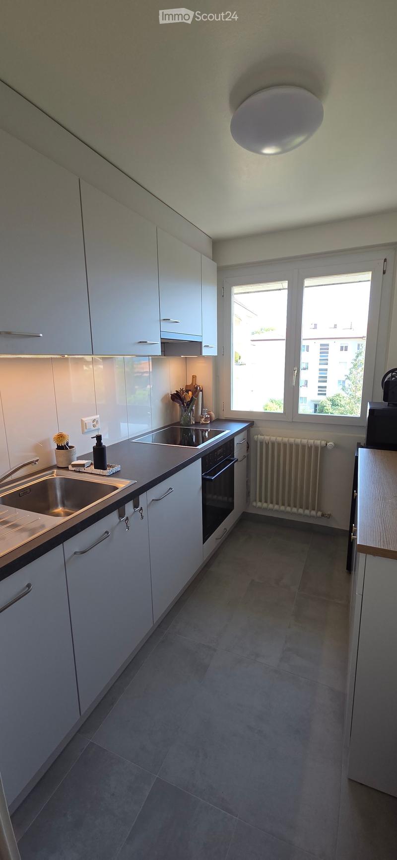 Modern kitchen with white cabinets, stainless steel sink, oven, and countertop. Features a window with a view of the outside, a radiator, and a small potted plant on the counter.
