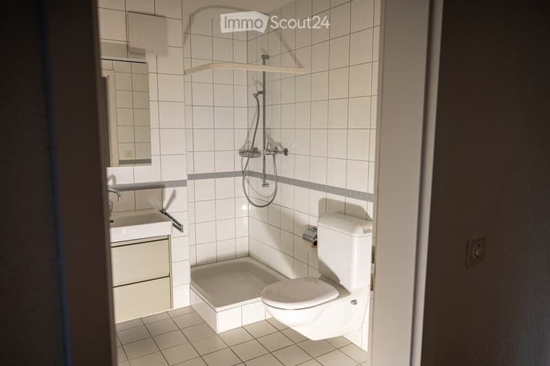 Modern bathroom with white tiles, a toilet, a sink with a mirror, and a shower area.
