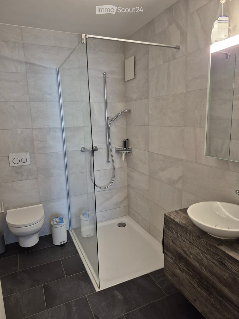Modern bathroom with a glass-enclosed shower, toilet, sink, and mirror. Features dark tiled floors and light grey tiled walls.