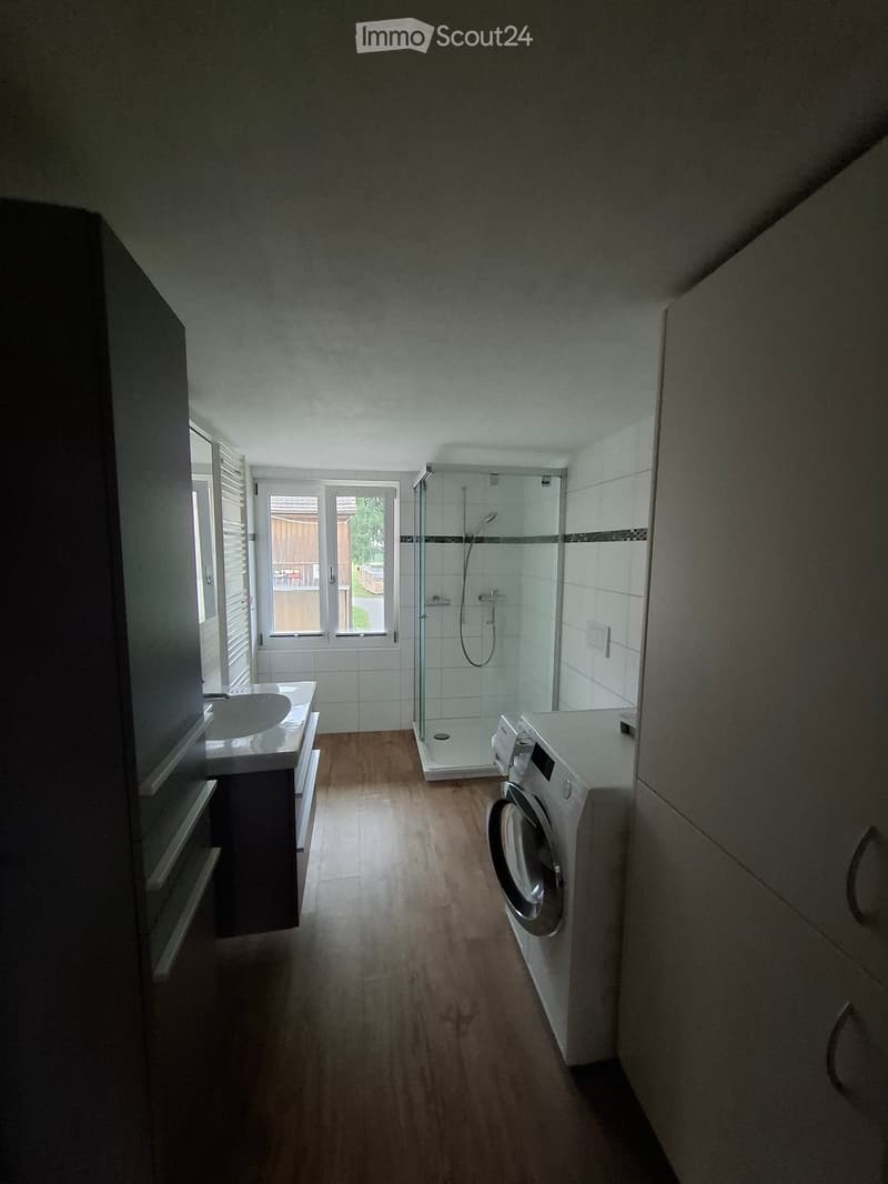 Bathroom with wooden flooring, a sink on the left, a glass-enclosed shower, and a washing machine on the right.