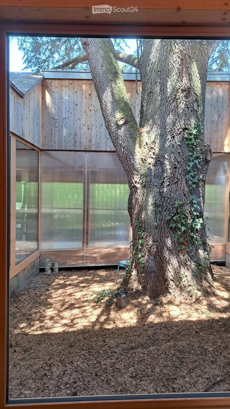 A small enclosed outdoor area with a large tree, wooden fence, glass walls, and a small table.