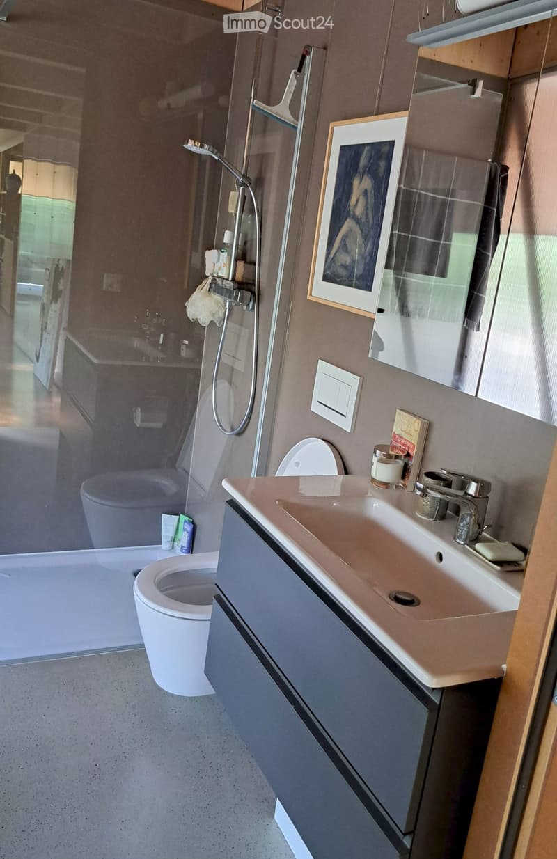 Modern bathroom with a sink, faucet, toilet, shower, mirror, cabinet, framed picture, candle, and book.