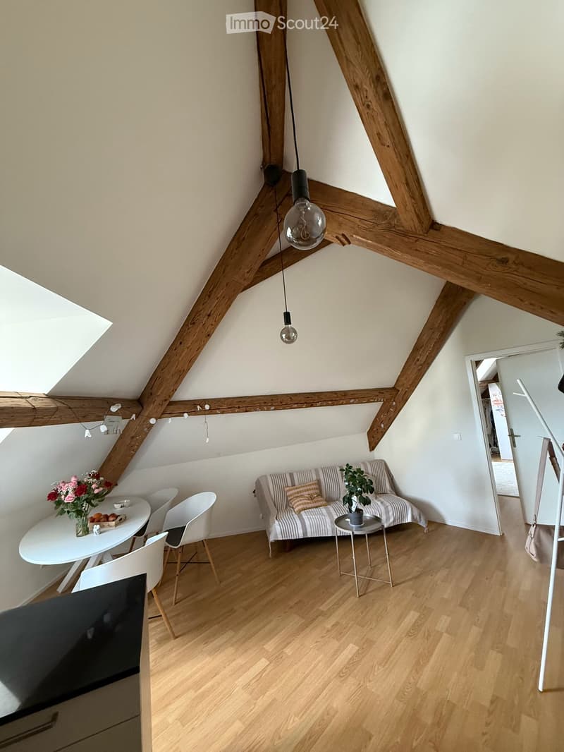Charming 2.5-room attic apartment in Diessenhofen (3)