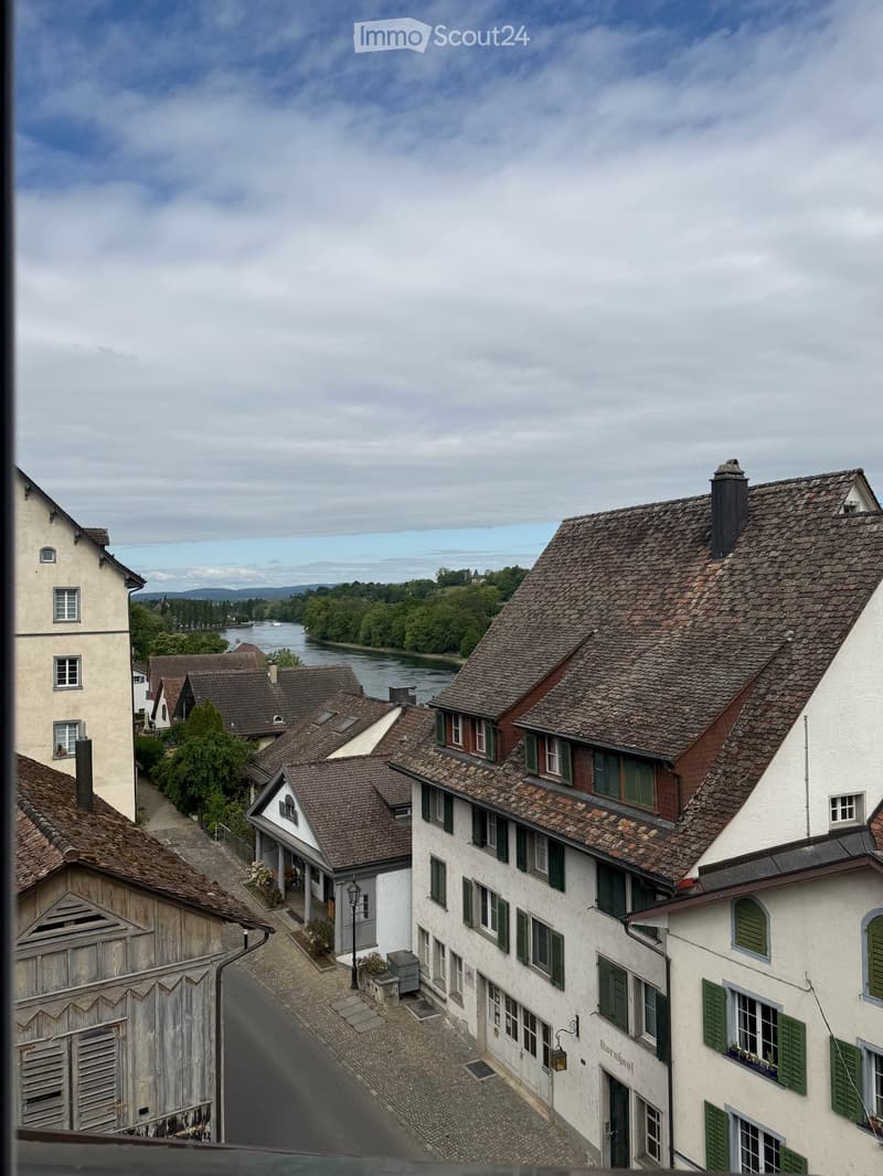 Charming 2.5-room attic apartment in Diessenhofen (6)