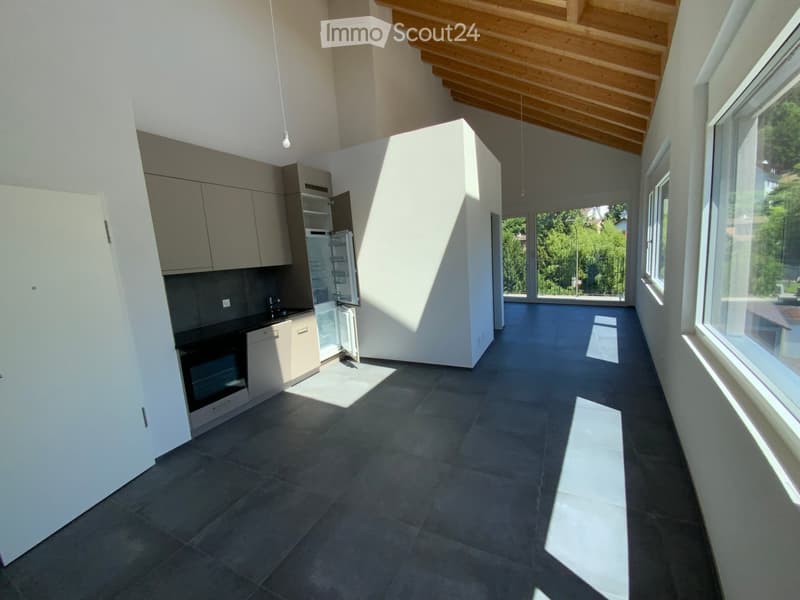 Modern kitchen with grey cabinets, stainless steel appliances, and large windows letting in natural light.