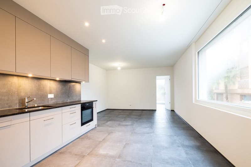 Modern kitchen with white cabinets, stainless steel sink, built-in oven, and large window overlooking a palm-lined street.