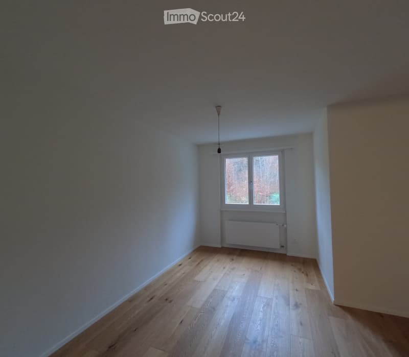 Empty room with light wooden flooring, white walls, a window with white frame, and a radiator below the window.