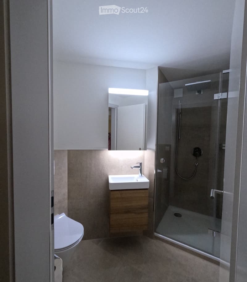 Modern bathroom with a toilet, sink, mirror, and glass-enclosed shower. Features include a wooden vanity cabinet, modern fixtures, and neutral tones.