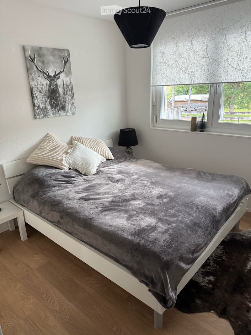 Modernes 4 1/2 - Zimmer - Ferienhaus in Sörenberg zu verkaufen (9)