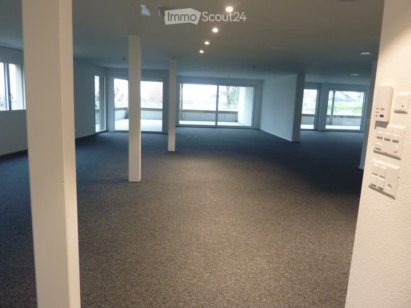 Empty hallway with carpeted floor, white walls, large windows, and modern light fixtures.