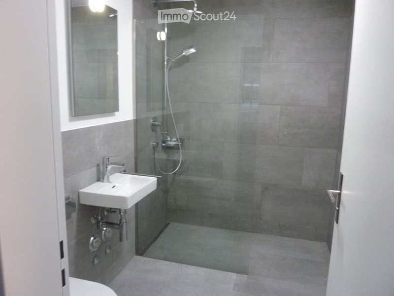 Modern bathroom with a white sink, a large mirror, and a glass-enclosed shower area.