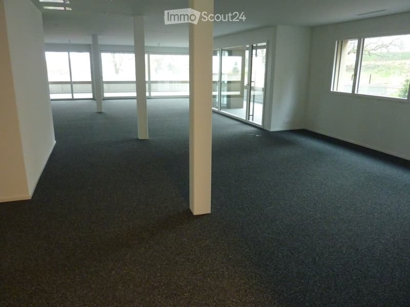 Empty room with carpeted floor, large windows, and white walls. No furniture or equipment present.