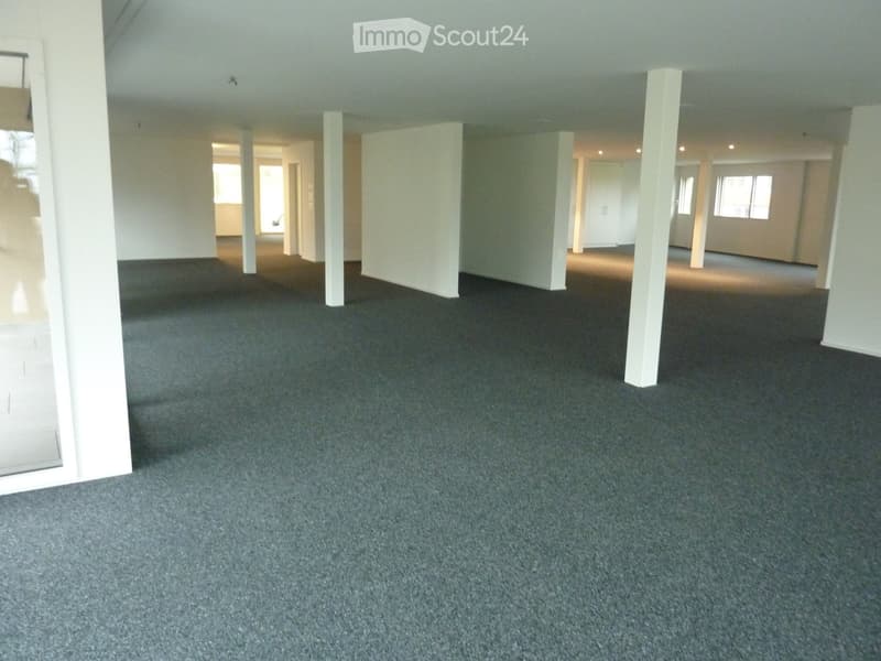 Empty room with grey carpeted floor, white walls, and white support columns. No furniture or equipment visible.