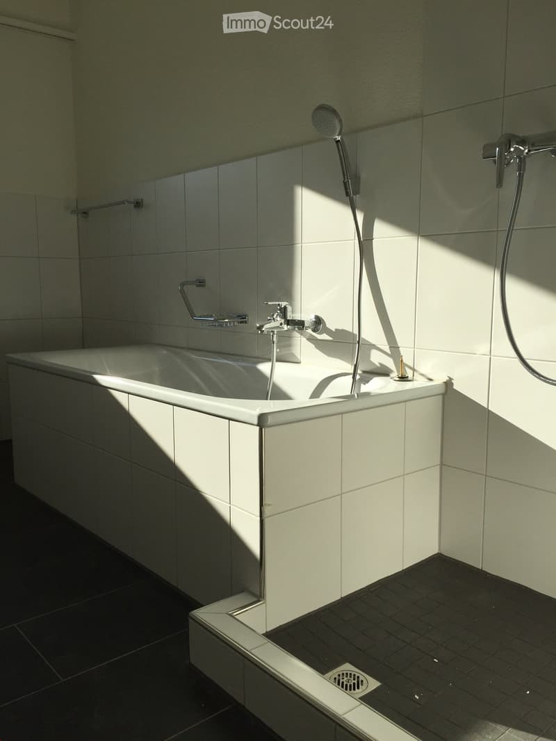 Modern bathroom with a white bathtub, chrome faucet, handheld showerhead, and built-in handrail.