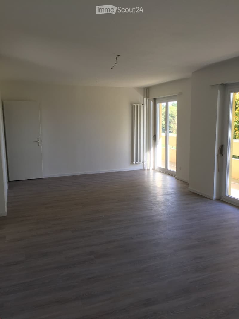 Empty room with wooden flooring, white walls, a door, a radiator, and large windows with blinds.