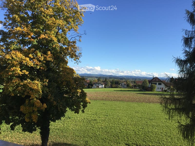A peaceful rural landscape with a large tree in the foreground, a well-maintained lawn, and several houses in the background under a clear blue sky.